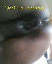 All Kinds Of Puss