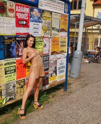 Fledgling Brown-Haired Bare On Street,By Blondelover.