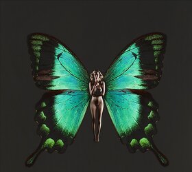 Butterfly-winged Psykhe
