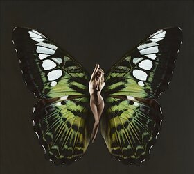 Butterfly-winged Psykhe