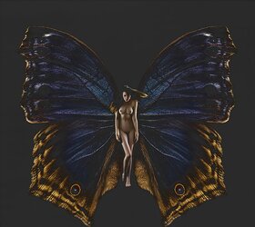 Butterfly-winged Psykhe
