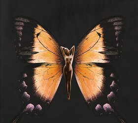 Butterfly-winged Psykhe