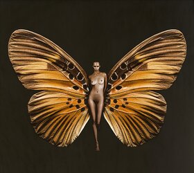 Butterfly-winged Psykhe
