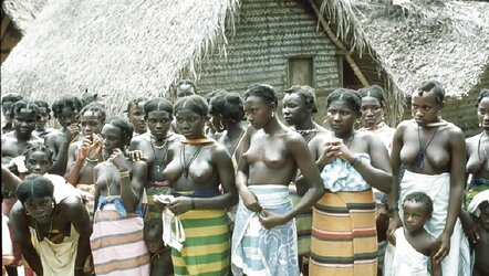 AFRICAN SAFARI IV