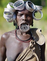 AFRICAN SAFARI IV