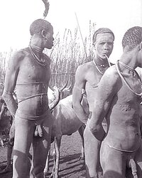AFRICAN SAFARI IV