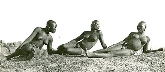 AFRICAN SAFARI IV