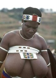 AFRICAN SAFARI IV