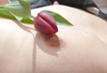 Une jolie fleur