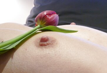 Une jolie fleur
