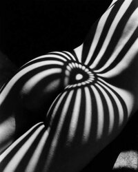 Naked Gallery IV
