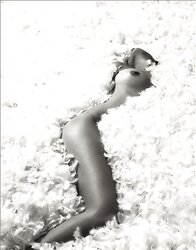 Naked Gallery IV