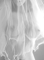 Naked Gallery IV