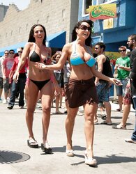 LISA ANN ( individual pictures)
