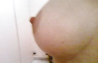 Persian Baps - Part