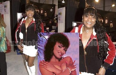 Classic Adult Movie Stars Then and Now