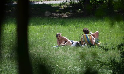 Lady sunbathing in the park I