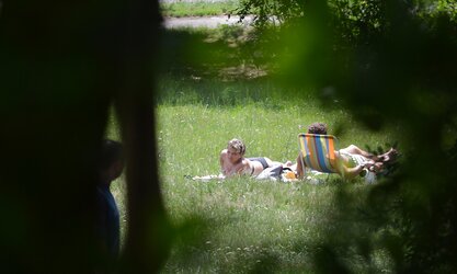 Lady sunbathing in the park I
