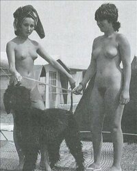Una coleccion Retro..