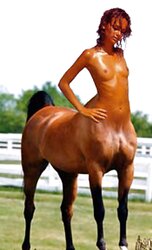 Combined Centaurs