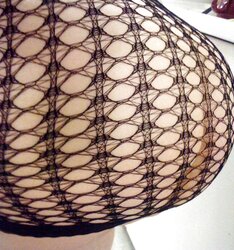 Fencenet Sundress for Rrrrrrr...