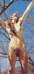 NATURIST VINTAGE WOOLY CUNNY