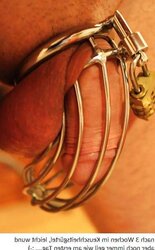 After 2 Weeks in Chastity