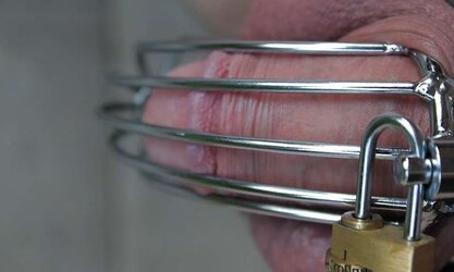 After 2 Weeks in Chastity