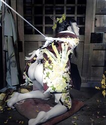 Japan erotic