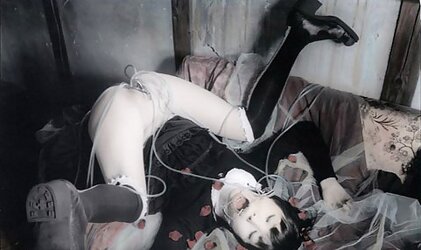 Japan erotic