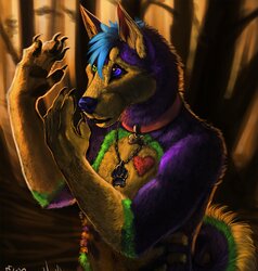 My fur covered suna