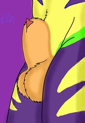 My fur covered suna