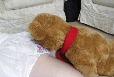 Teddy love
