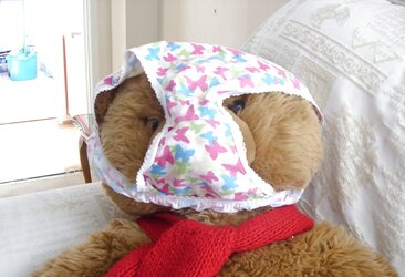 Teddy love