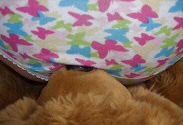 Teddy love