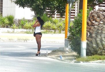 I Enjoy Prostitutea