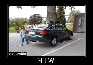 Funny Images III