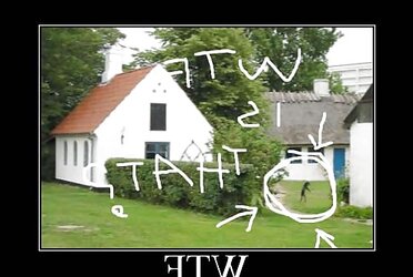 Funny Images III