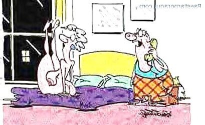 Funny Images III