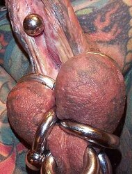 Inked and pierced spears