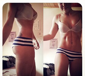 Hardbodies and Honies