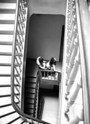 ART PHOTOS...