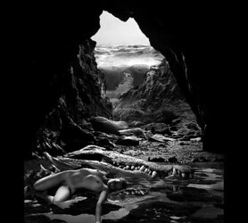 ART PHOTOS...