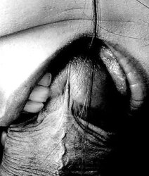 ART PHOTOS...