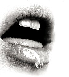 ART PHOTOS...