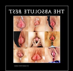 Poster Wives 48 - is your wifey here?