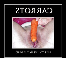 Poster Wives 48 - is your wifey here?