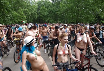 World Bare Bike Rail