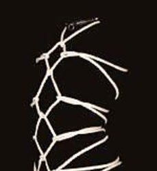 Shibari et restrain bondage
