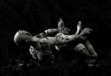 Shibari et restrain bondage